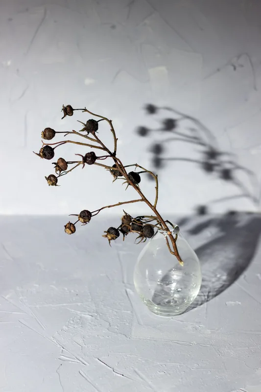 Ash Bloom